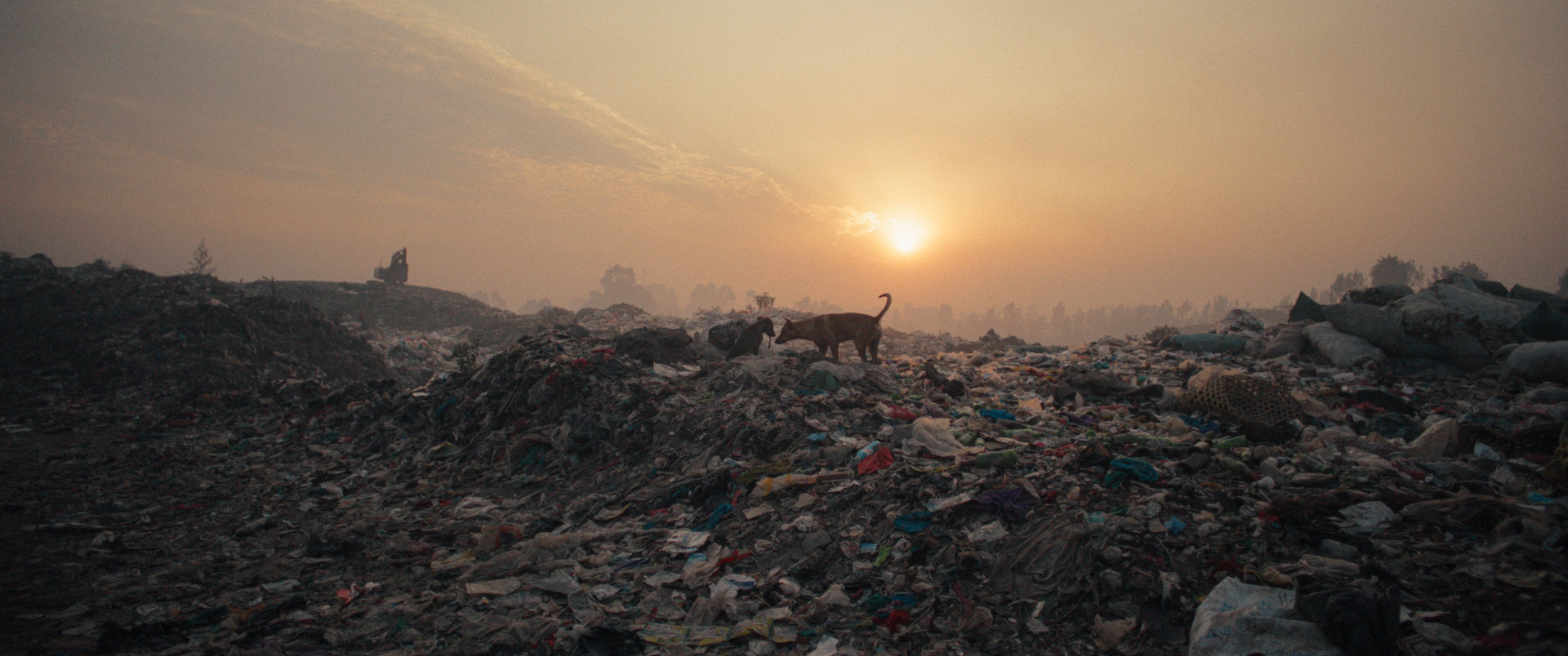 Plastic Fantastic | SCALA Programmkino