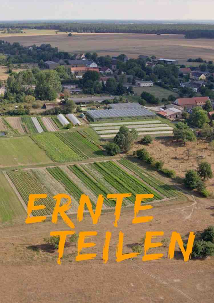 Ernte teilen