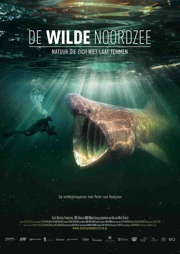 Die wilde Nordsee – Natur, die sich nicht zähmen lässt