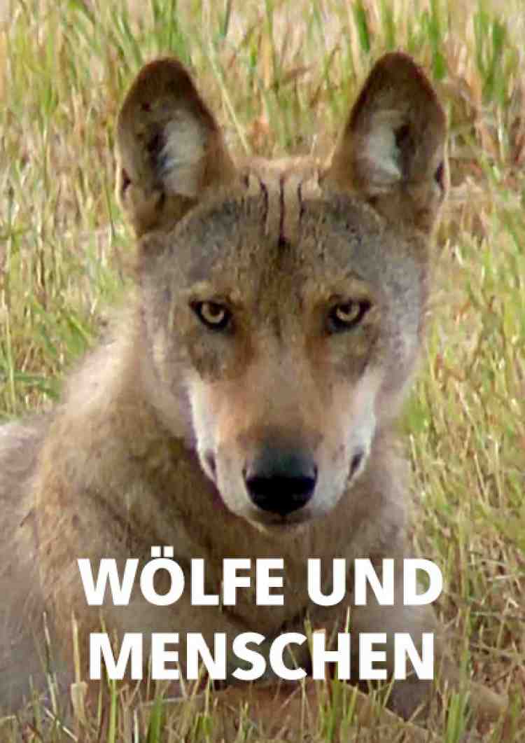 Wölfe und Menschen – Wege zur Koexistenz