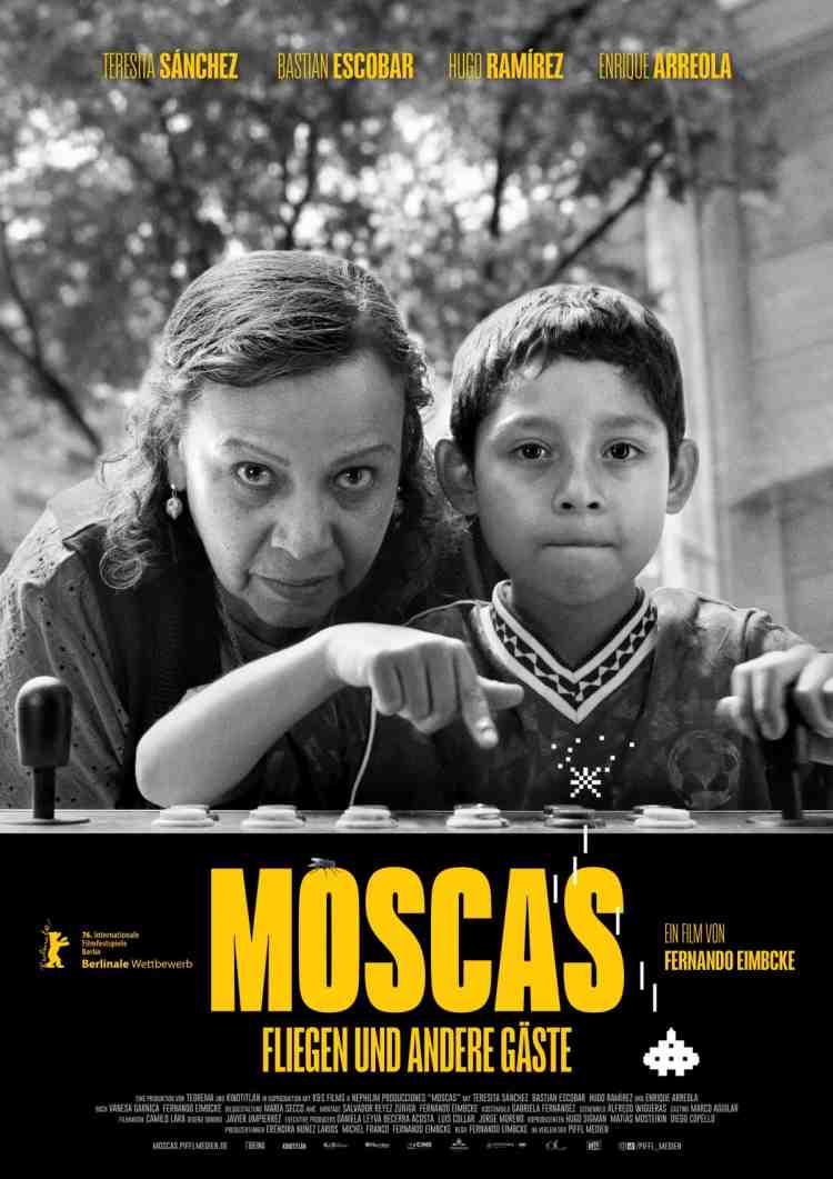 Moscas – Fliegen und andere Gäste