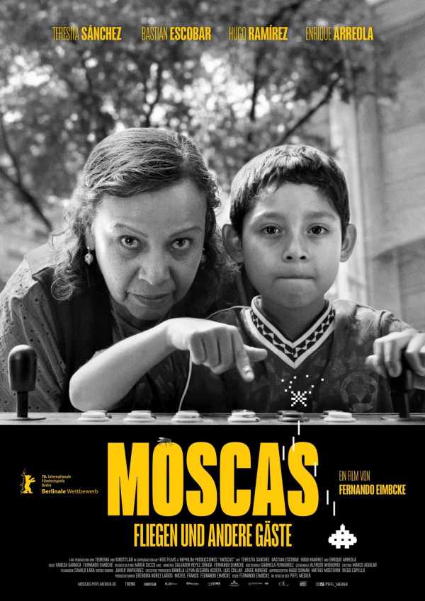 Moscas – Fliegen und andere Gäste