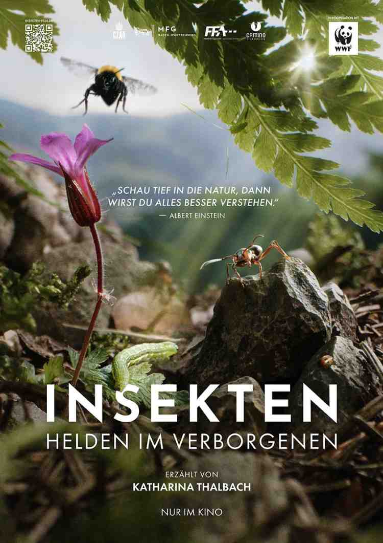 Insekten – Helden im Verborgenen
